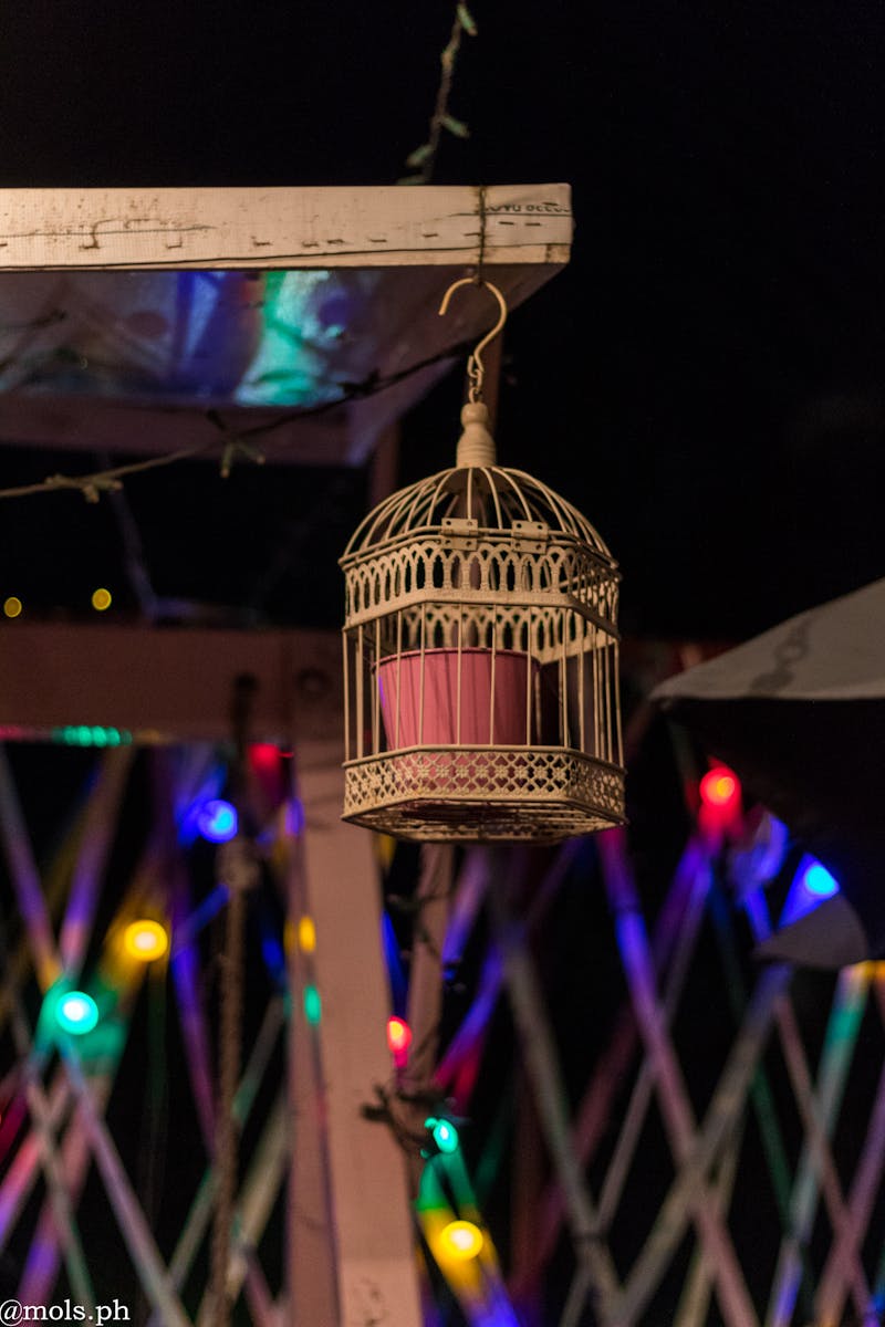 Troy Albany East Greenbush Pest Control Exterminator Soldier Termites