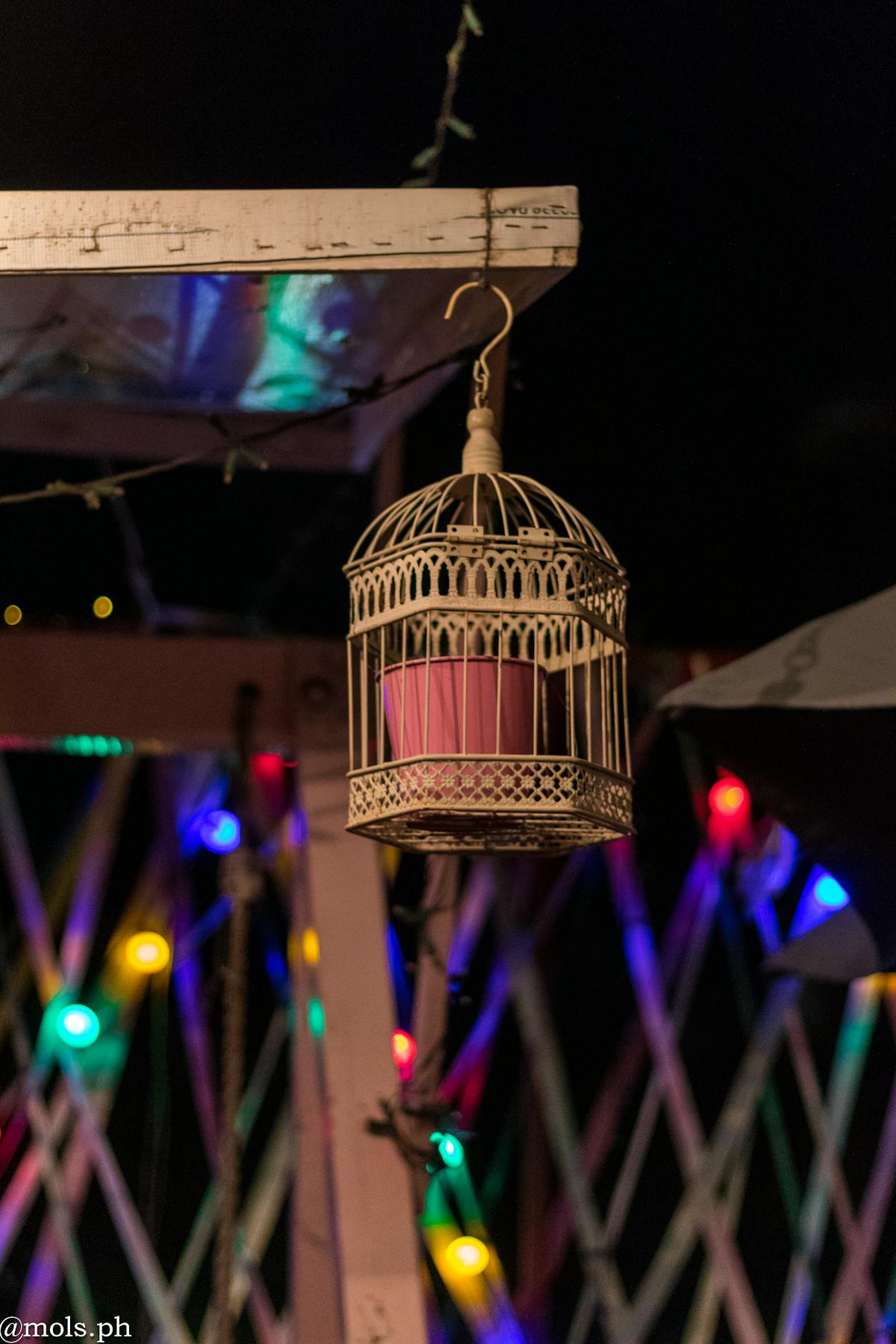 Termites Removal Exterminator Pest Control Services Albany Troy